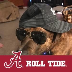 Meet your Posher, Greg